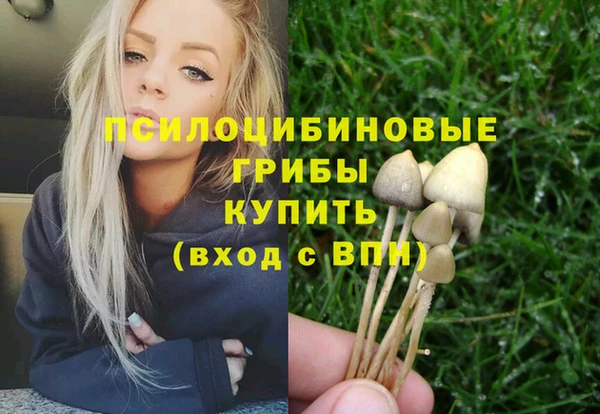мет Аркадак
