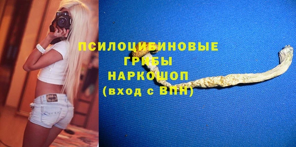 экстази Арсеньев